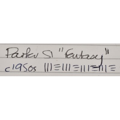 PA3256 Parker 51 Aerometric "Fantasy". (Extra Fine)
