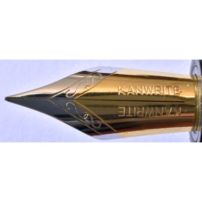 VN028 Varuna Vishal Cartridge/Converter/Eyedropper Fountain Pen, Black  (Kanwrite Flexi Nib - Semi-Flexible Fine)