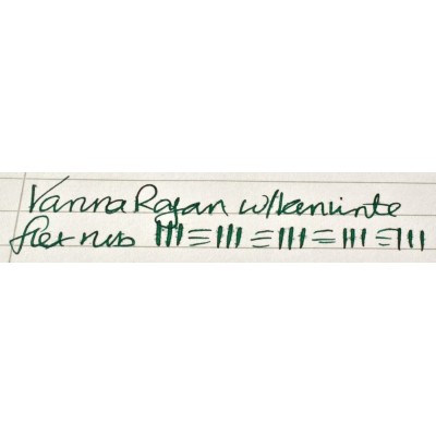 VN028 Varuna Vishal Cartridge/Converter/Eyedropper Fountain Pen, Black  (Kanwrite Flexi Nib - Semi-Flexible Fine)