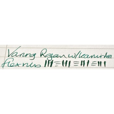 VN029 Varuna Vishal Cartridge/Converter/Eyedropper Fountain Pen, Black  (Kanwrite Flexi Nib - Semi-Flexible Fine)
